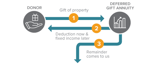 This diagram represents how to make a gift of a deferred gift annuity - a gift that pays you income.
